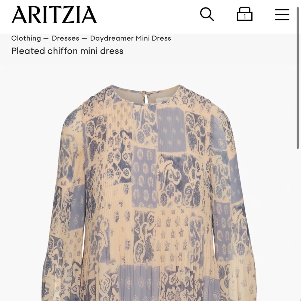 ARITZIA Daydreamer Mini Dress